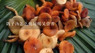 鸽子汤怎么炖好喝又营养