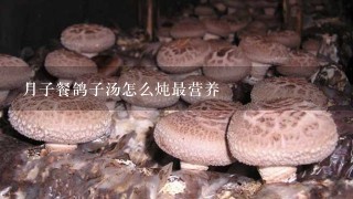 月子餐鸽子汤怎么炖最营养