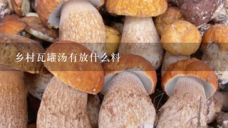 乡村瓦罐汤有放什么料