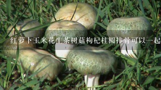 红萝卜玉米花生茶树菇枸杞桂圆排骨可以一起炖汤吗？