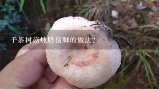 干茶树菇炖腊猪脚的做法？