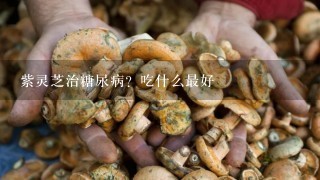 紫灵芝治糖尿病？吃什么最好