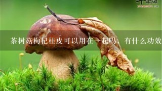 茶树菇枸杞桂皮可以用在一起吗，有什么功效