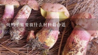 炖鸭子需要放什么材料最合适