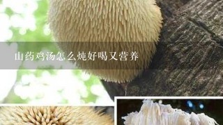 山药鸡汤怎么炖好喝又营养