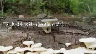 刘老根中大辣椒的扮演者是谁？