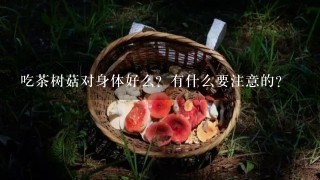 吃茶树菇对身体好么？有什么要注意的？