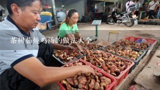 茶树茹炖鸡汤的做法大全