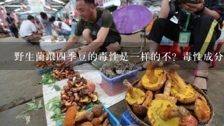 野生菌跟四季豆的毒性是一样的不？毒性成分一样不？