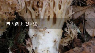 四大菌王是哪些