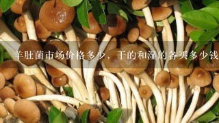 羊肚菌市场价格多少，干的和湿的各买多少钱一斤？