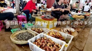 鱼台县种黑皮鸡枞菌菇都销售那里，每斤多少钱