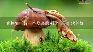 我想要下载一个烧菜的APP，什么软件好