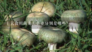 十大食用菌龙头企业分别是哪些？