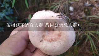 茶树菇不适宜人群(茶树菇禁忌人群)