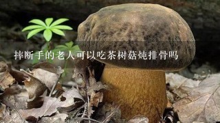 摔断手的老人可以吃茶树菇炖排骨吗