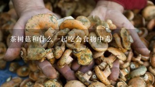 茶树菇和什么一起吃会食物中毒