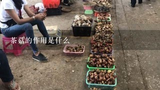 茶菇的作用是什么