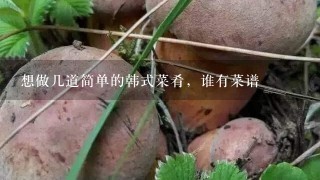 想做几道简单的韩式菜肴，谁有菜谱