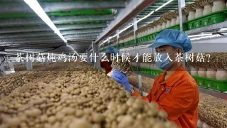 茶树菇炖鸡汤要什么时候才能放入茶树菇？