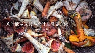 桑叶能做豆腐吗桑叶豆腐怎么做