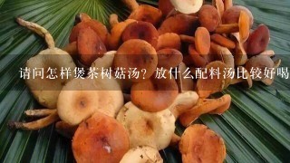 请问怎样煲茶树菇汤？放什么配料汤比较好喝呢？谢谢~~