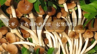 大枣、干香菇和鸡肉能一起煲汤吗?