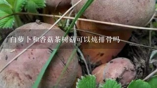 白萝卜和香菇茶树菇可以炖排骨吗