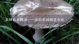 茶树菇老鸭汤——滋阴养颜增进食欲