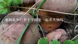 茶树菇和竹笋干牛肉能一起煮火锅吗？