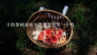 干的茶树菇炖汤前要先泡发一下吗