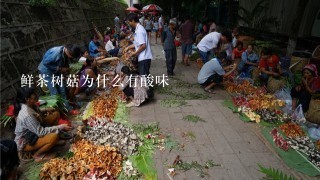 鲜茶树菇为什么有酸味