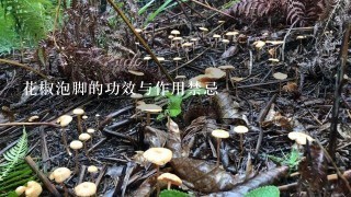 花椒泡脚的功效与作用禁忌