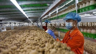 求推荐一些适合单位食堂的家常菜，公司有100人