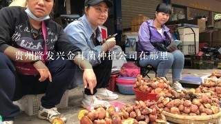 贵州隆发兴金耳菌种植公司在那里