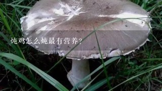 炖鸡怎么炖最有营养？