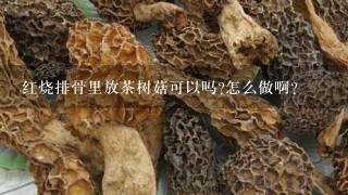 红烧排骨里放茶树菇可以吗?怎么做啊?