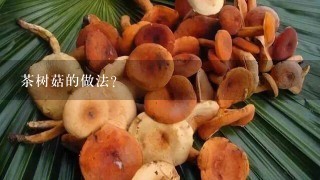 茶树菇的做法？