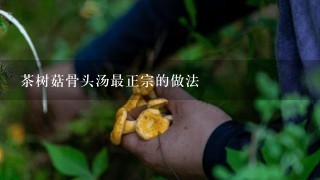 茶树菇骨头汤最正宗的做法