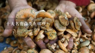 十大名贵菌类有哪些？