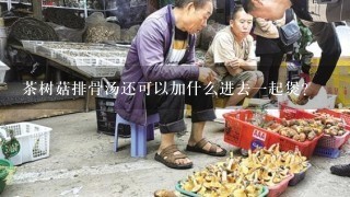 茶树菇排骨汤还可以加什么进去一起煲?