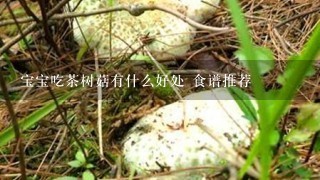 宝宝吃茶树菇有什么好处 食谱推荐