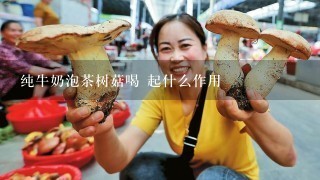 纯牛奶泡茶树菇喝 起什么作用