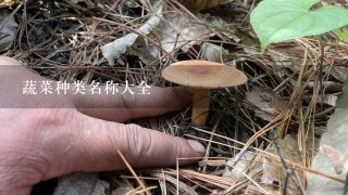 蔬菜种类名称大全