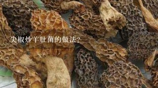 尖椒炒羊肚菌的做法？