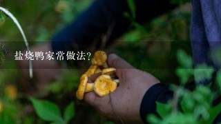 盐烧鸭家常做法？