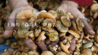 上海的‘真功夫’价格表