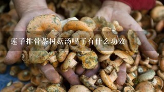 莲子排骨茶树菇汤喝了有什么功效