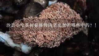 沙县小吃茶树菇排骨汤里面加的哪些中药？！