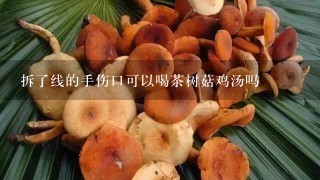 拆了线的手伤口可以喝茶树菇鸡汤吗